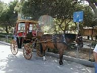 Carriage